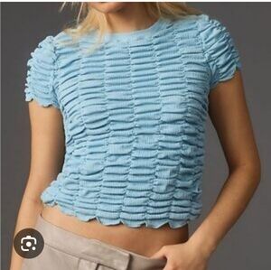 Anthrpology blue crop top L